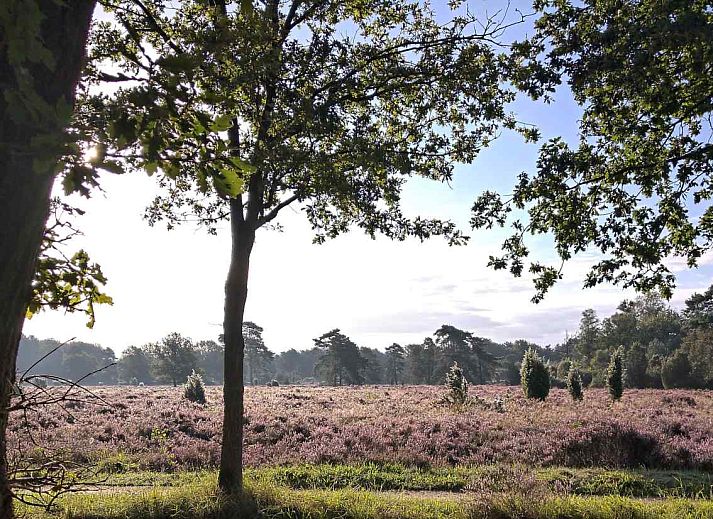 Ferienhaus DG603 in Dwingeloo, Suedwest-Drenthe, mit Sonnenkollektoren und sonnigem Garten.