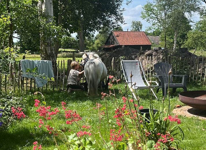 Gezellig terras van Huisje in Dwingeloo, vakantieverblijf in Drenthe.