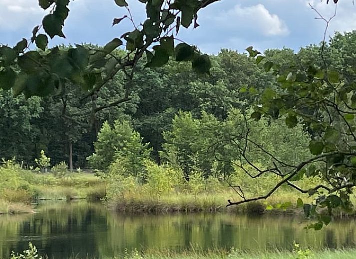 Lichte woonkamer in Huisje in Dwingeloo, vakantiehuis in Zuidwest Drenthe.