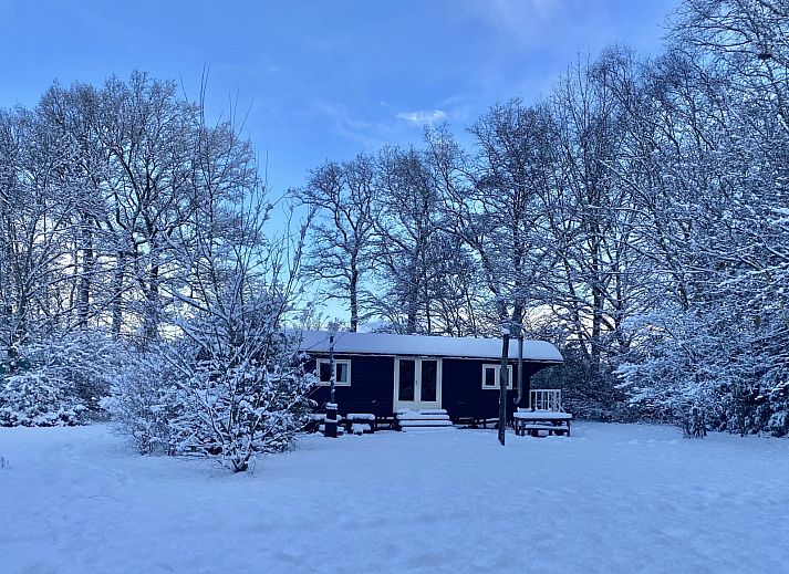 Charmantes Ferienhaus DG1584 im gruenen Dwingeloo, Sued-West Drenthe, umgeben von Natur.