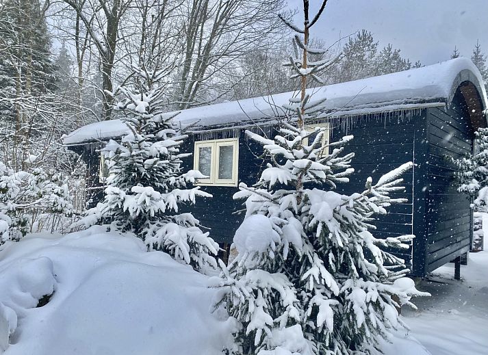 Gemuetliches Schlafzimmer im Ferienhaus DG1584, Dwingeloo, Suedwest-Drenthe, mit Holzeinrichtung.