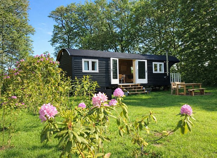 Schoene Aussicht auf die Heide in der Naehe des Ferienhauses DG1584 in Dwingeloo, Suedwest-Drenthe.