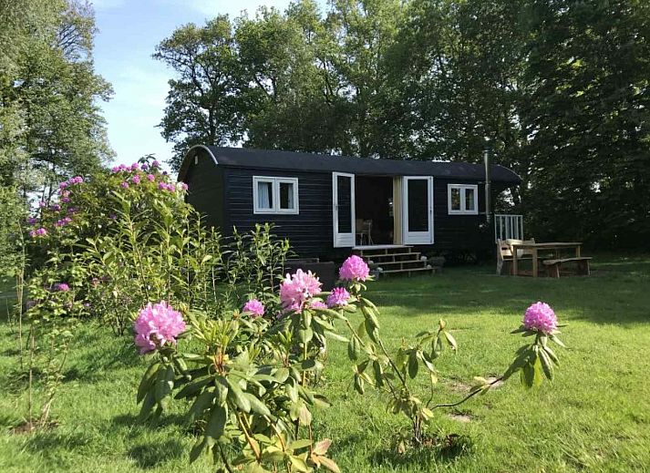 Schoene Aussicht auf die Heide in der Naehe des Ferienhauses DG1584 in Dwingeloo, Suedwest-Drenthe.