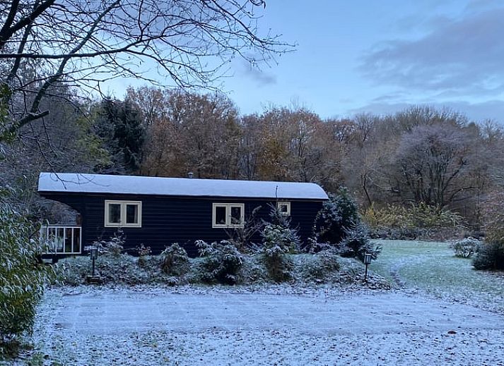 Gezellige woonkamer in Vakantiehuisje in Dwingeloo, Zuidwest Drenthe, met houten interieur en moderne inrichting.