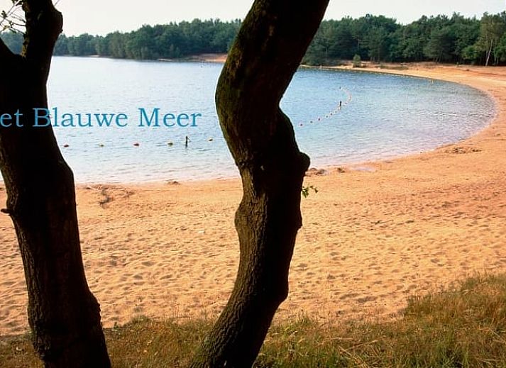 Sneeuw bedekt Vakantiehuisje in Dwingeloo, Zuidwest Drenthe, omringd door winterse natuur.