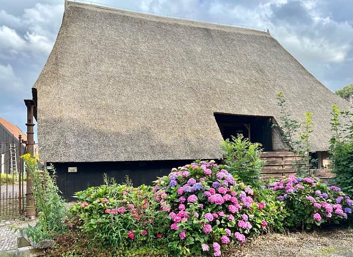 Guest house 201286 • Holiday property Zuidwest Drenthe • Huisje in Dwingeloo