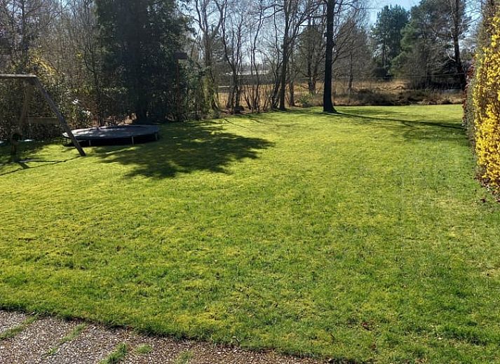 Natuerliche Umgebung im Ferienhaus in Pesse, Suedwest-Drenthe, mit Blick auf einen ruhigen Teich.