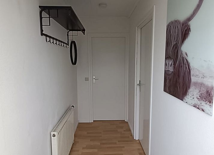 Natuerliche Umgebung im Ferienhaus in Pesse, Suedwest-Drenthe, mit Blick auf einen ruhigen Teich.