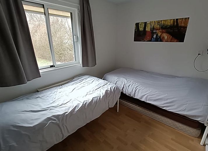 Natuerliche Umgebung im Ferienhaus in Pesse, Suedwest-Drenthe, mit Blick auf einen ruhigen Teich.