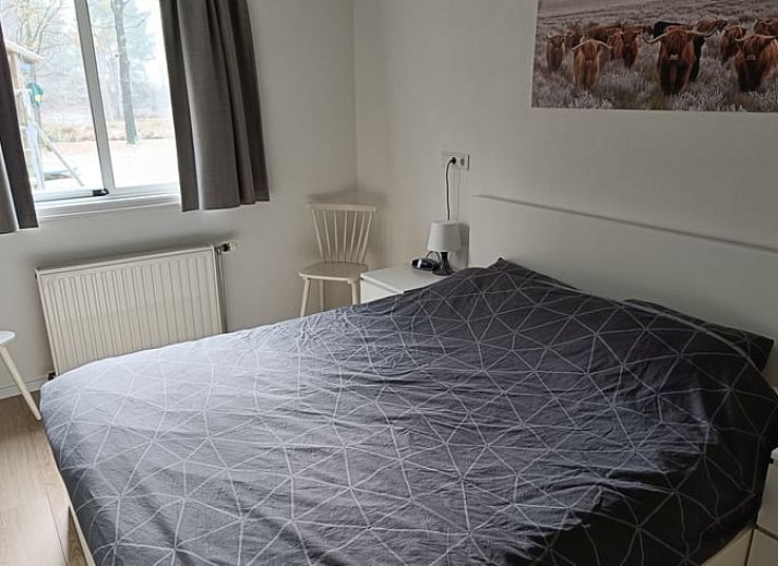 Eingang zum Ferienhaus in Pesse mit Auffahrt und gruenen Hecken im Suedwesten von Drenthe.