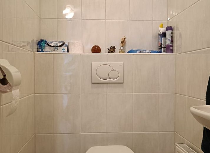 Rueckansicht des Ferienhauses in Pesse mit gepflegtem Garten im Suedwesten von Drenthe.