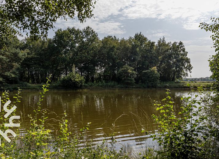 DG1780 vakantiehuis in Pesse omringd door bloeiende tuin in Zuidwest Drenthe.