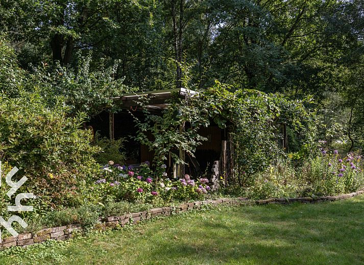 Groene omgeving met bloemen bij DG1780 vakantieverblijf in Pesse, Drenthe.