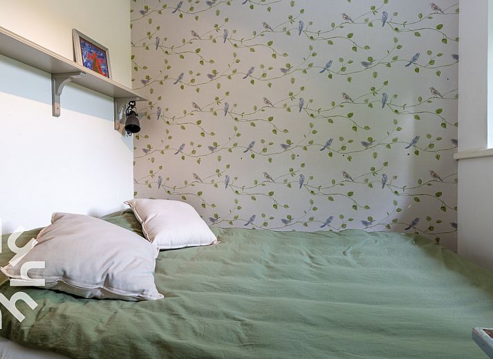 Ingang van DG1780 vakantiewoning in Pesse, Drenthe met groene tuin.