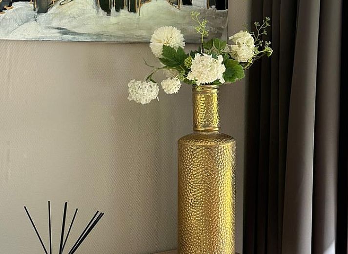 Guest house 201310 - Holiday property Zuidwest Drenthe - Huisje in Pesse