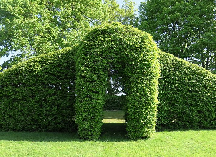 Gemuetliches Wohnzimmer der Fruehstueckspension Seppenstijn in Ruinerwold, Drenthe, mit bequemen Sitzgelegenheiten.