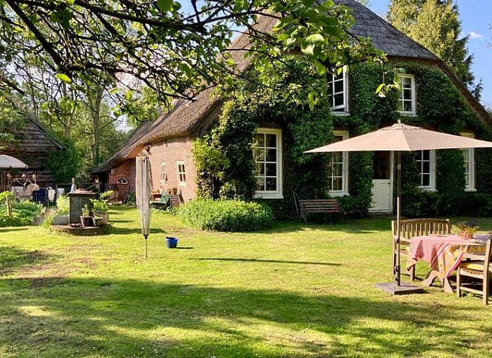 Reetgedecktes Ferienhaus in Ruinerwold, umgeben von viel Gruen im Suedwesten von Drenthe.