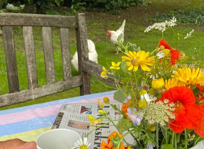 Geniessen Sie die Natur im Garten des Ferienhauses in Ruinerwold, Suedwest-Drenthe.