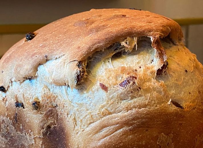 Geniessen Sie die Natur im Garten des Ferienhauses in Ruinerwold, Suedwest-Drenthe.