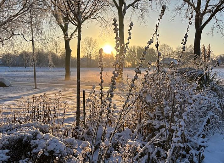 Gemuetliche Einrichtung des Ferienhauses in Ruinerwold, Drenthe, mit authentischem Kamin und gemuetlichem Bettgestell fuer einen stimmungsvollen Aufenthalt.