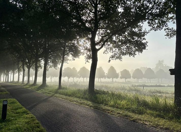 Gemuetliche Einrichtung des Ferienhauses in Ruinerwold, Drenthe, mit authentischem Kamin und gemuetlichem Bettgestell fuer einen stimmungsvollen Aufenthalt.