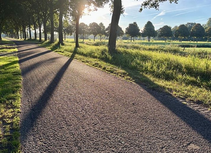 Gemuetliches Wohnzimmer im Ferienhaus in Ruinerwold, Suedwest-Drenthe, mit Holzinterieur und bequemen Sofas.