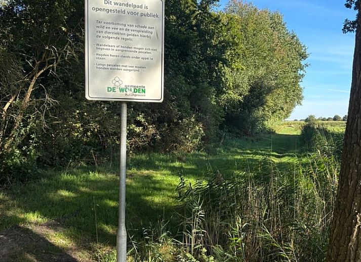 Gemuetliches Wohnzimmer im Ferienhaus in Ruinerwold, Suedwest-Drenthe, mit Holzinterieur und bequemen Sofas.