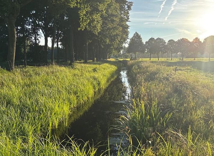Gemuetliches Wohnzimmer im Ferienhaus in Ruinerwold, Suedwest-Drenthe, mit Holzinterieur und bequemen Sofas.