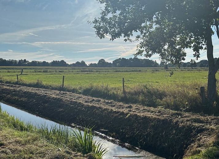 Gemuetliches Wohnzimmer im Ferienhaus in Ruinerwold, Suedwest-Drenthe, mit Holzinterieur und bequemen Sofas.