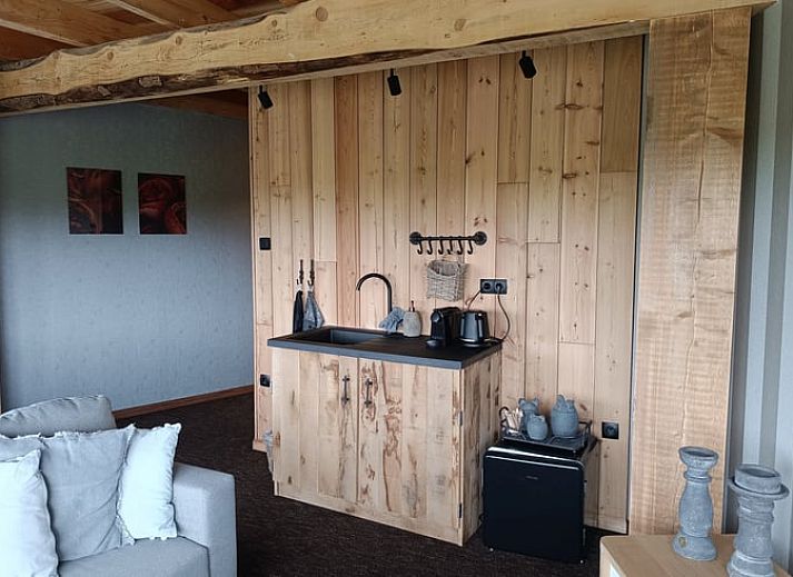 Uniek vakantiehuis in Ruinerwold, Drenthe met rieten dak en moderne architectuur in Zuidwest Drenthe.