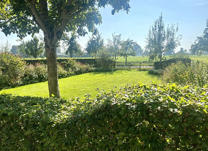 Geniet van de charmante buitenruimte van vakantiehuis DG2051 in Ruinerwold, Zuidwest Drenthe, met een gezellig terras en groene omgeving.