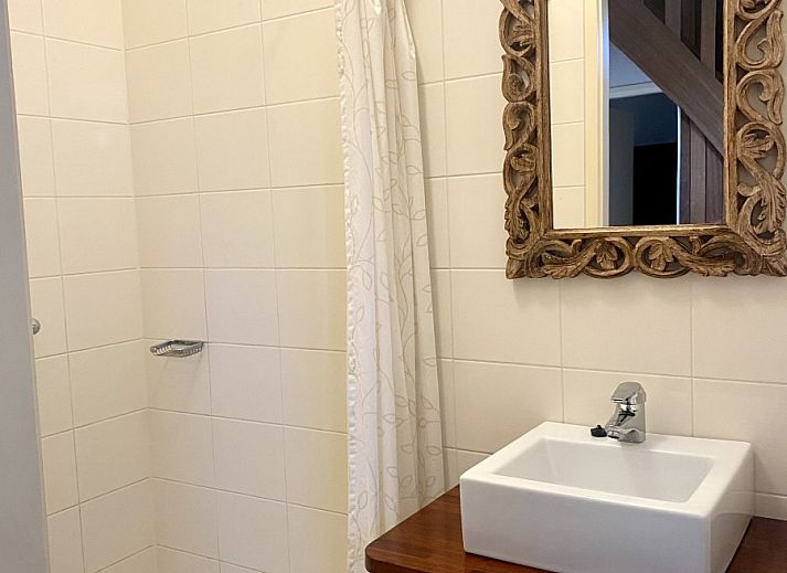 Moderne badkamer in vakantiehuis DG2051, Ruinerwold, Zuidwest Drenthe, met stijlvolle douche en elegant houten spiegelontwerp.