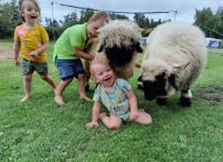 Gemuetliches Schlafzimmer mit Etagenbett im Ferienhaus in Ruinerwold, Ferienhaus im Suedwesten von Drenthe, umgeben von Natur.