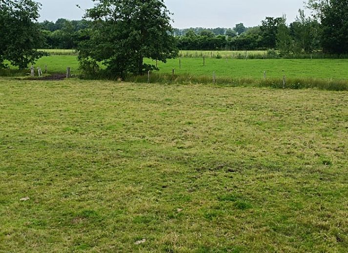 Guest house 201415 - Holiday property Zuidwest Drenthe - Huisje in Ruinerwold