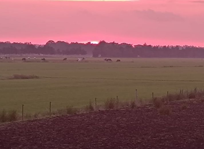 Guest house 201415 - Holiday property Zuidwest Drenthe - Huisje in Ruinerwold