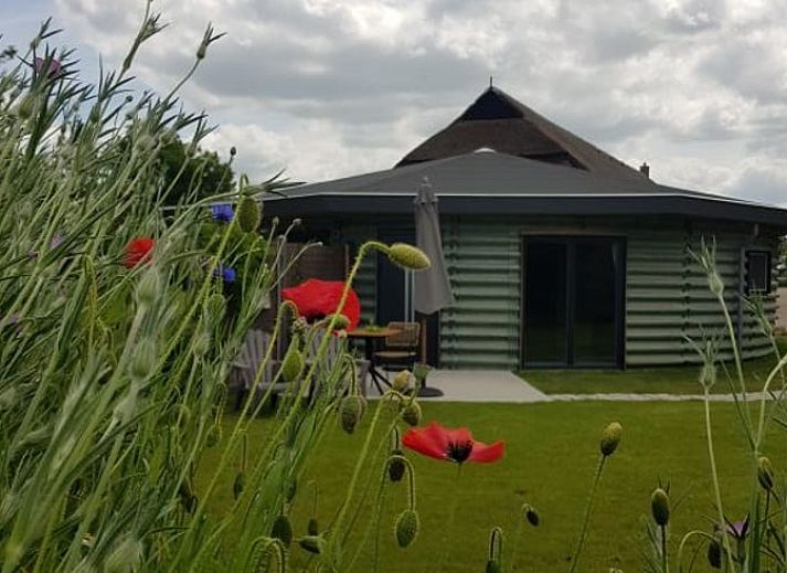 Guest house 201416 - Holiday property Zuidwest Drenthe - Vakantiehuisje in Ruinerwold