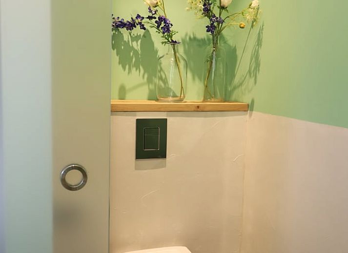 Guest house 201416 - Holiday property Zuidwest Drenthe - Vakantiehuisje in Ruinerwold