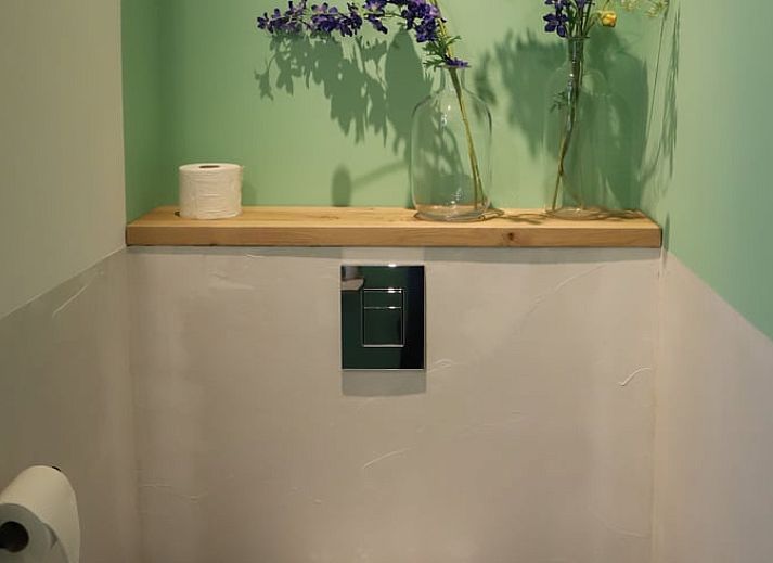 Guest house 201416 - Holiday property Zuidwest Drenthe - Vakantiehuisje in Ruinerwold