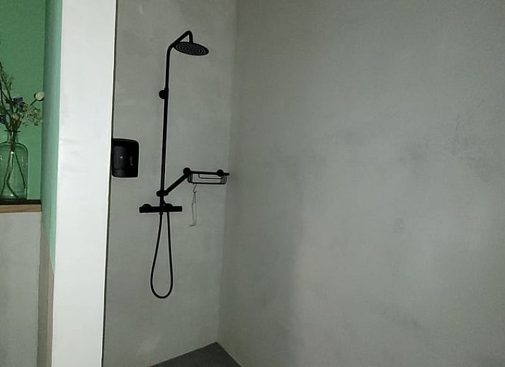 Guest house 201416 - Holiday property Zuidwest Drenthe - Vakantiehuisje in Ruinerwold