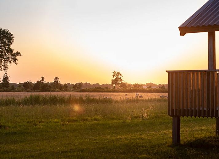Geniessen Sie die ruhige Umgebung des Ferienhauses in Ruinerwold, Suedwest-Drenthe, mit einem einladenden Whirlpool und einer schoenen Aussicht auf die Natur.