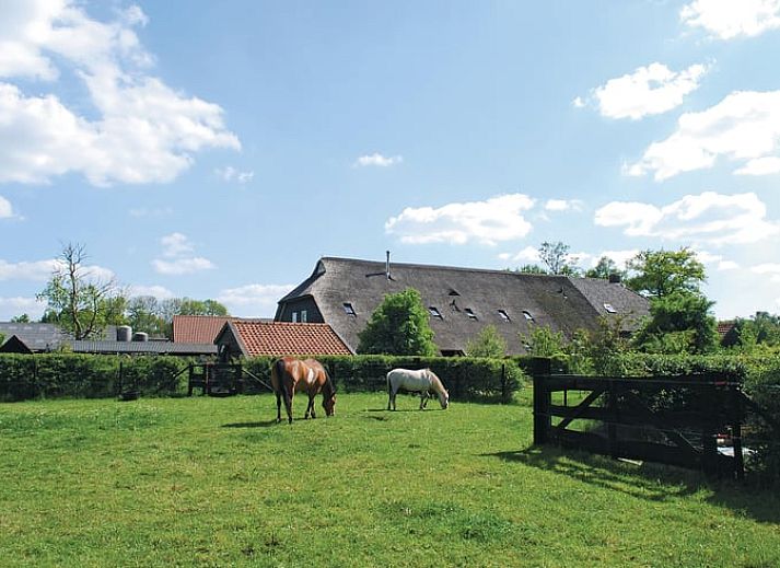 Unterkunft 201418 • Ferienhaus Zuidwest Drenthe • Vakantiehuisje in Ruinerwold 