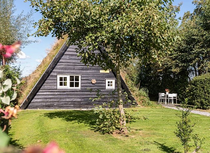 Ferienhaus in Ruinerwold Drenthe mit charmanter Holzfassade und gruener Umgebung.