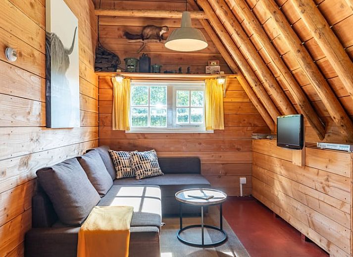 Ferienhaus in Ruinerwold Drenthe mit charmanter Holzfassade und gruener Umgebung.