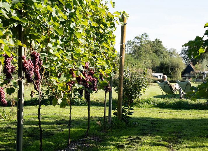 Gemuetliches Wohnzimmer im Ferienhaus in Ruinerwold, Drenthe mit Holzinterieur und bequemer Sitzecke.