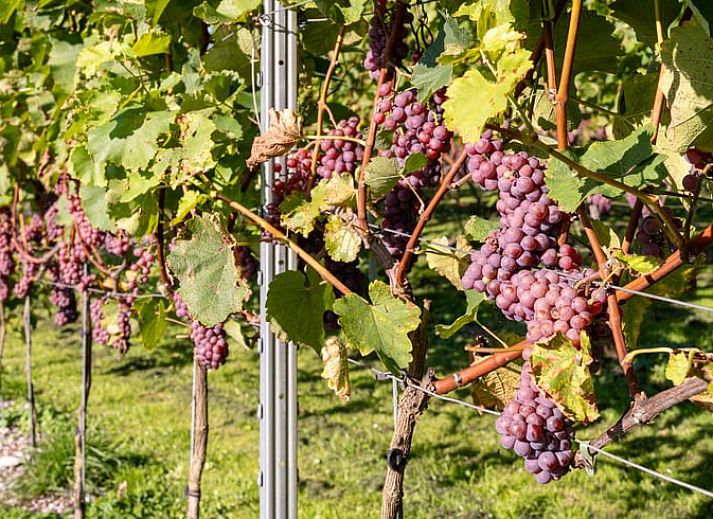 Gemuetliches Wohnzimmer im Ferienhaus in Ruinerwold, Drenthe mit Holzinterieur und bequemer Sitzecke.