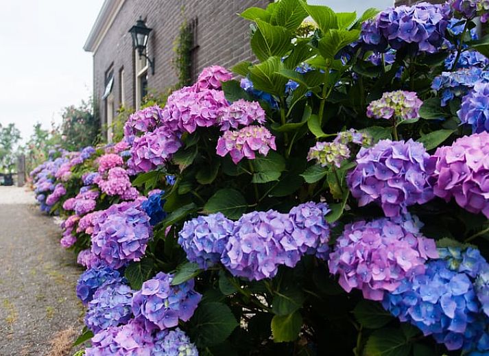 Geniessen Sie den Whirlpool im Ferienhaus in Ruinerwold, das in der ruhigen Landschaft von Suedwest-Drenthe liegt.