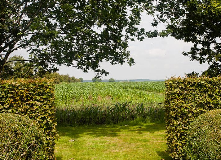 Schoener Garten fuer Ferienhaus in Ruinerwold, ein idyllisches Ferienhaus im Suedwesten von Drenthe.