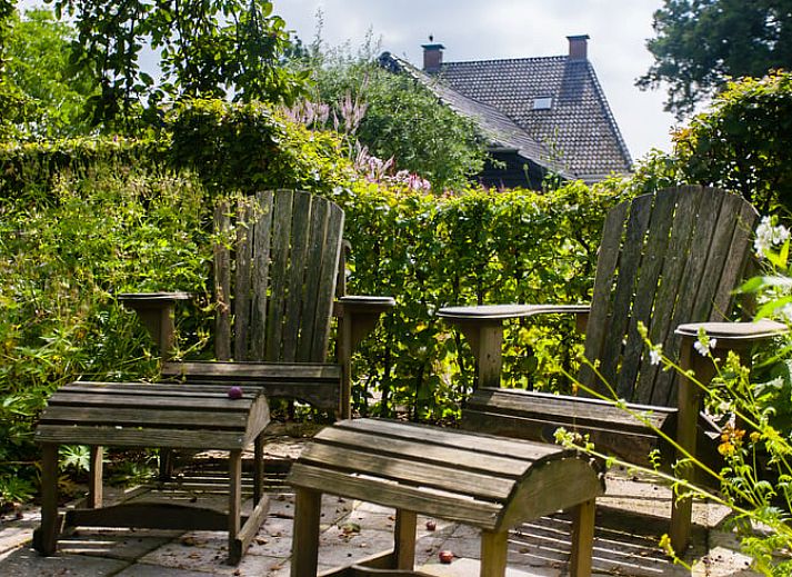 Bluehende Hortensien schmuecken das Ferienhaus in Ruinerwold, ein charmantes Ferienhaus in Drenthe.