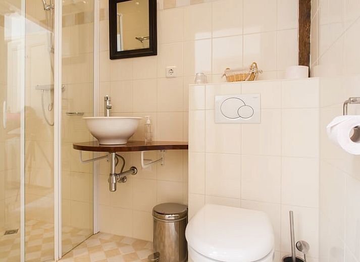 Bluehende Hortensien schmuecken das Ferienhaus in Ruinerwold, ein charmantes Ferienhaus in Drenthe.