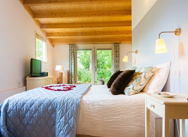 Bluehende Hortensien schmuecken das Ferienhaus in Ruinerwold, ein charmantes Ferienhaus in Drenthe.